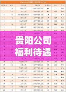 贵阳公司福利待遇大比拼，排名揭晓，你心仪的公司上榜了吗？