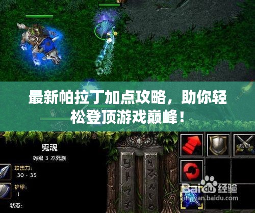 最新帕拉丁加点攻略，助你轻松登顶游戏巅峰！