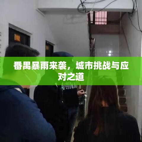 番禺暴雨来袭，城市挑战与应对之道