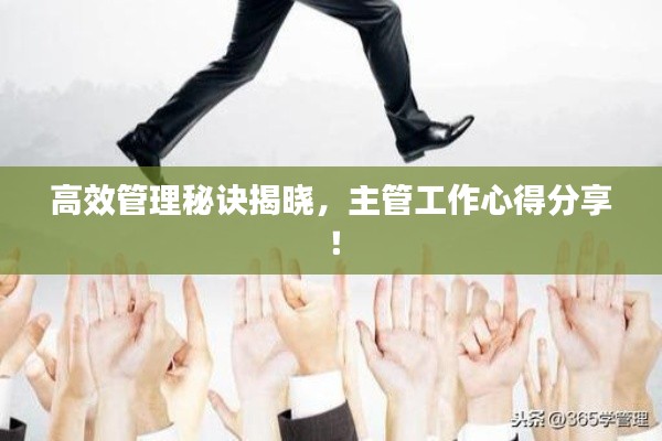 高效管理秘诀揭晓，主管工作心得分享！
