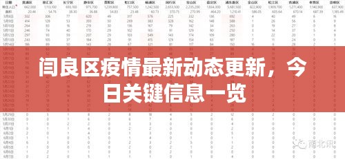 闫良区疫情最新动态更新，今日关键信息一览