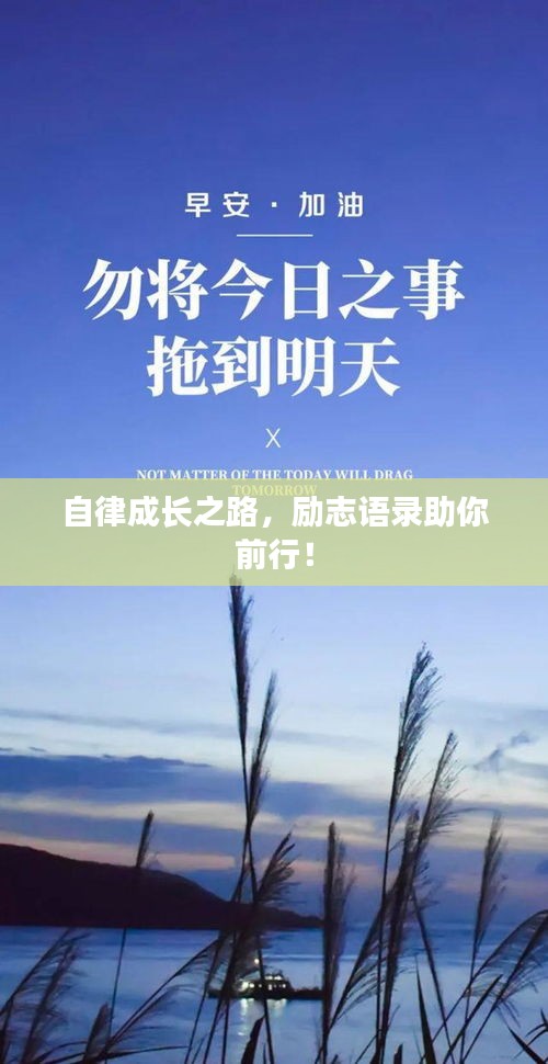 自律成长之路，励志语录助你前行！