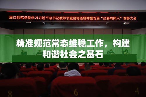 精准规范常态维稳工作，构建和谐社会之基石