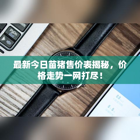 最新今日苗猪售价表揭秘，价格走势一网打尽！
