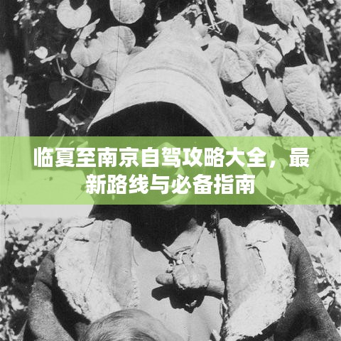 临夏至南京自驾攻略大全，最新路线与必备指南