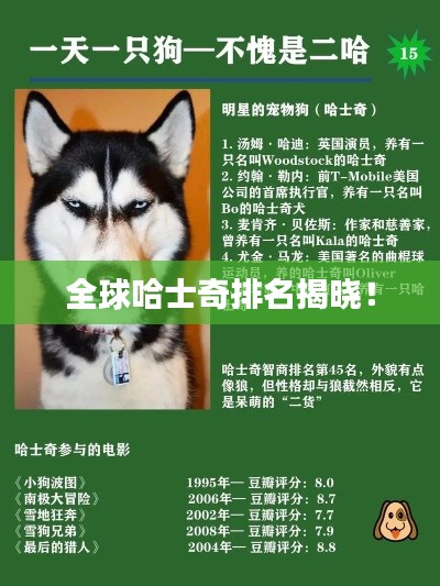 全球哈士奇排名揭晓！