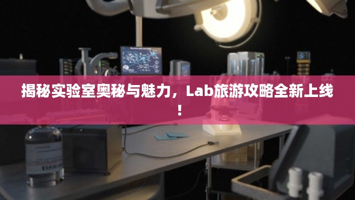 揭秘实验室奥秘与魅力，Lab旅游攻略全新上线！