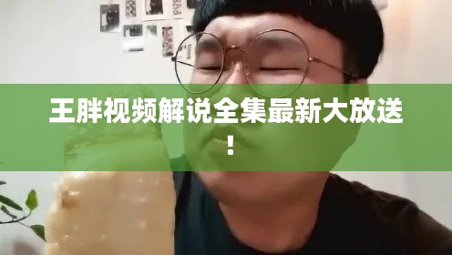 王胖视频解说全集最新大放送！