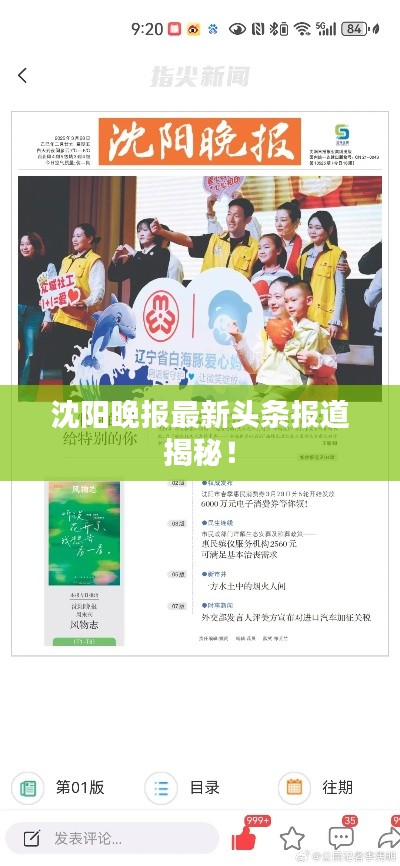 沈阳晚报最新头条报道揭秘！