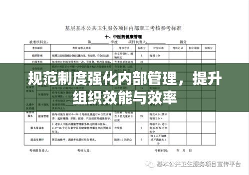 规范制度强化内部管理，提升组织效能与效率