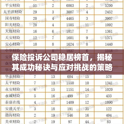 保险投诉公司稳居榜首，揭秘其成功秘诀与应对挑战的策略解析