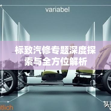 标致汽修专题深度探索与全方位解析