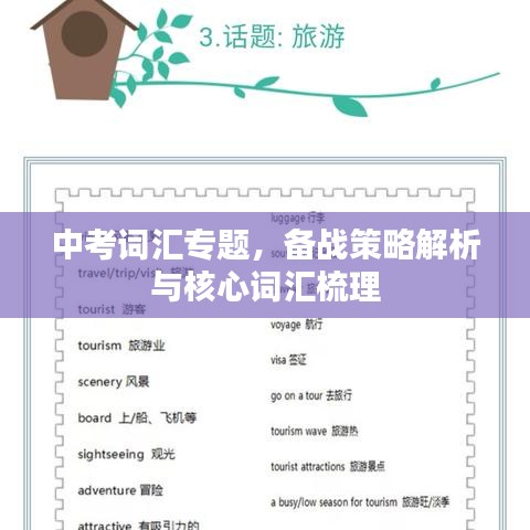 中考词汇专题，备战策略解析与核心词汇梳理