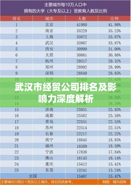 武汉市经贸公司排名及影响力深度解析