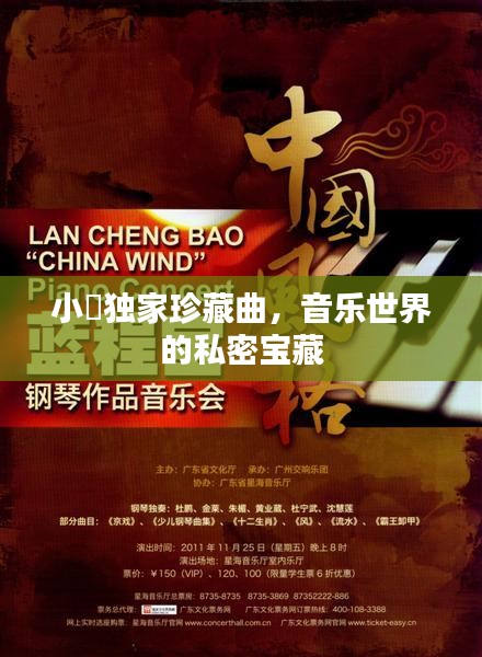 小寳独家珍藏曲，音乐世界的私密宝藏