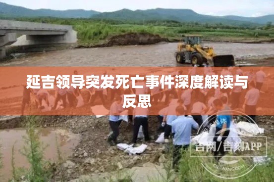 延吉领导突发死亡事件深度解读与反思