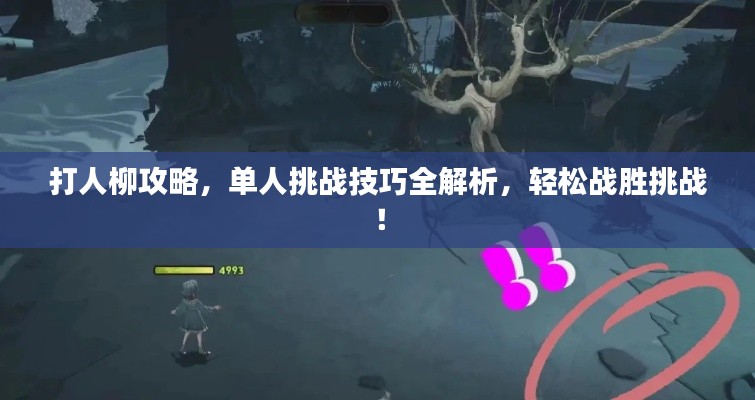 打人柳攻略，单人挑战技巧全解析，轻松战胜挑战！
