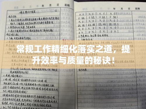 常规工作精细化落实之道，提升效率与质量的秘诀！