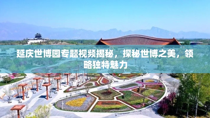 延庆世博园专题视频揭秘，探秘世博之美，领略独特魅力