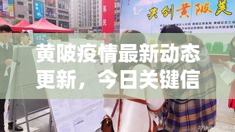 黄陂疫情最新动态更新，今日关键信息一网打尽！