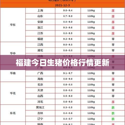 福建今日生猪价格行情更新