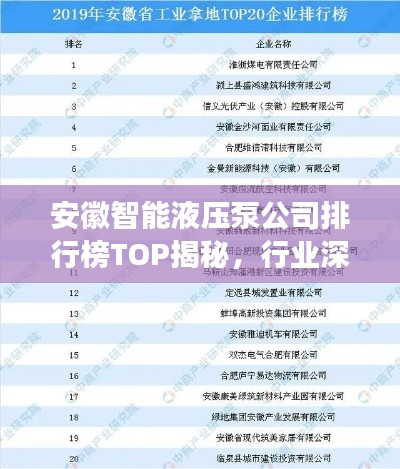 安徽智能液压泵公司排行榜TOP揭秘，行业深度洞察报告