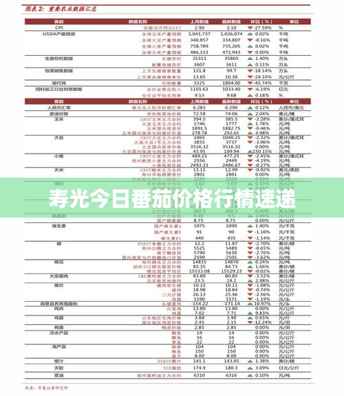 寿光今日番茄价格行情速递
