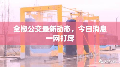 全椒公交最新动态，今日消息一网打尽
