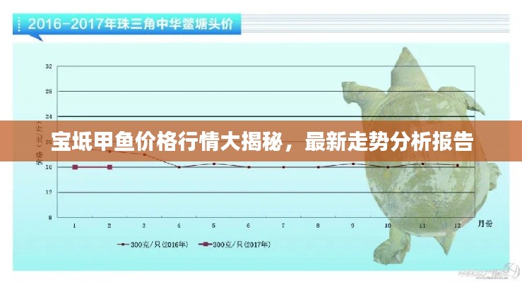 宝坻甲鱼价格行情大揭秘，最新走势分析报告