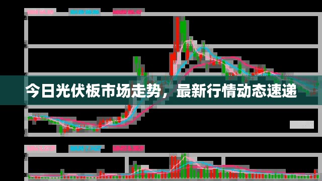 今日光伏板市场走势，最新行情动态速递