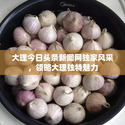 大理今日头条新闻网独家风采，领略大理独特魅力