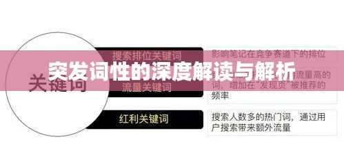 突发词性的深度解读与解析