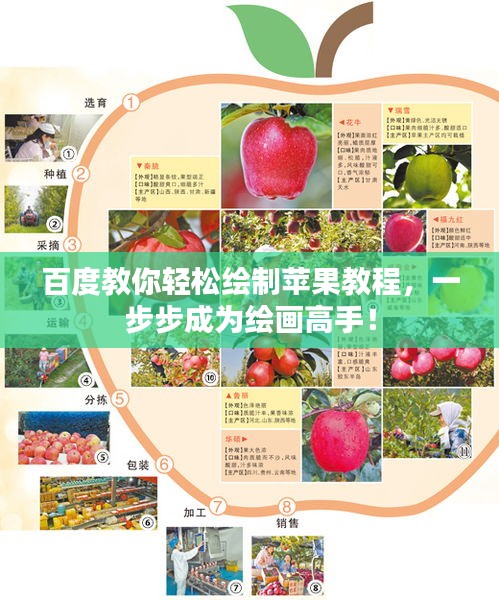 百度教你轻松绘制苹果教程，一步步成为绘画高手！