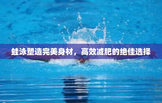 蛙泳塑造完美身材，高效减肥的绝佳选择