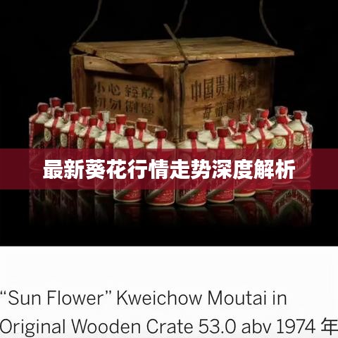最新葵花行情走势深度解析