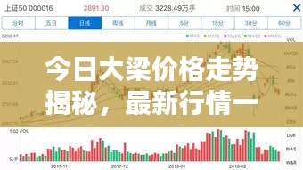 今日大梁价格走势揭秘，最新行情一览