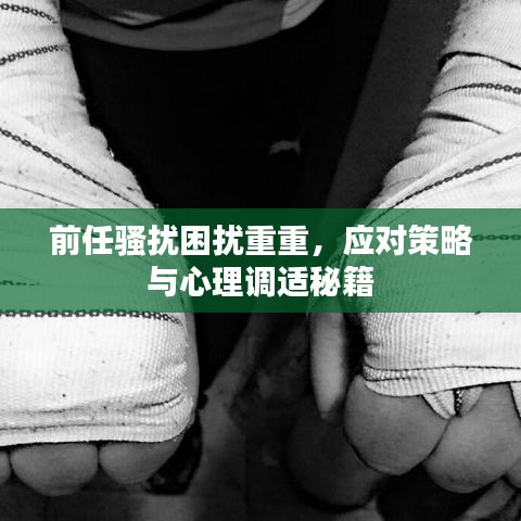 前任骚扰困扰重重，应对策略与心理调适秘籍