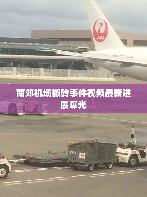 南郊机场搬砖事件视频最新进展曝光