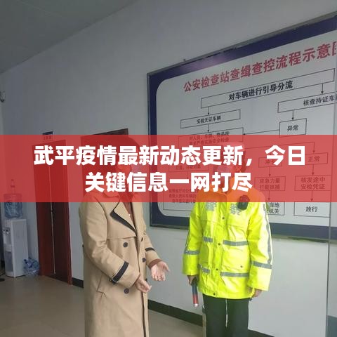 武平疫情最新动态更新，今日关键信息一网打尽