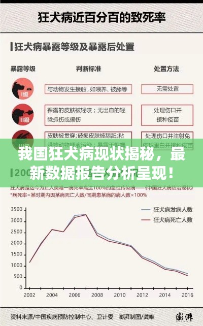 我国狂犬病现状揭秘，最新数据报告分析呈现！