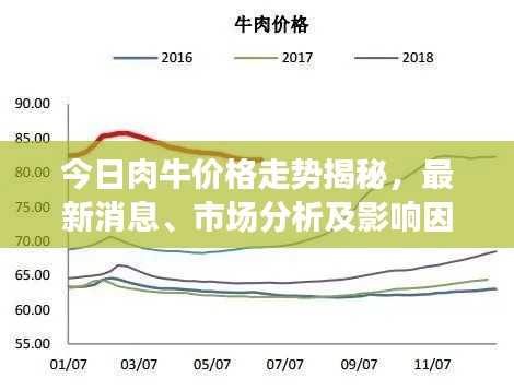 今日肉牛价格走势揭秘，最新消息、市场分析及影响因素探讨