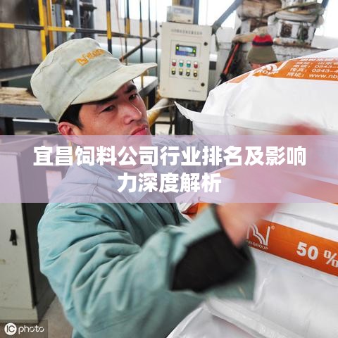宜昌饲料公司行业排名及影响力深度解析