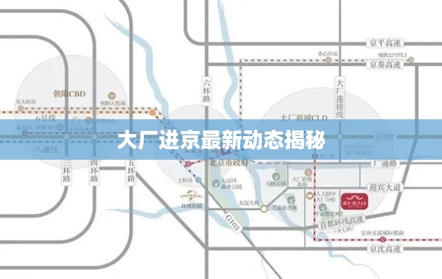 大厂进京最新动态揭秘