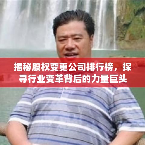 揭秘股权变更公司排行榜，探寻行业变革背后的力量巨头