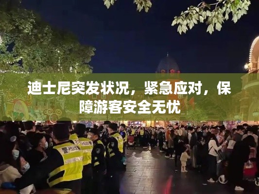 迪士尼突发状况，紧急应对，保障游客安全无忧