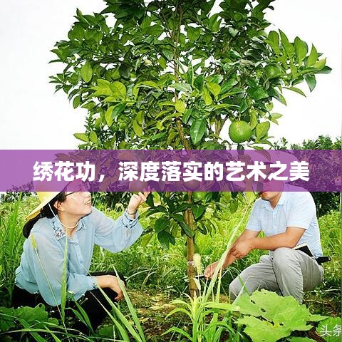 绣花功，深度落实的艺术之美