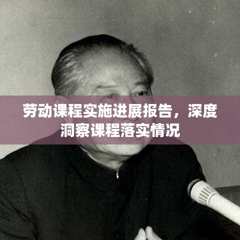 劳动课程实施进展报告，深度洞察课程落实情况