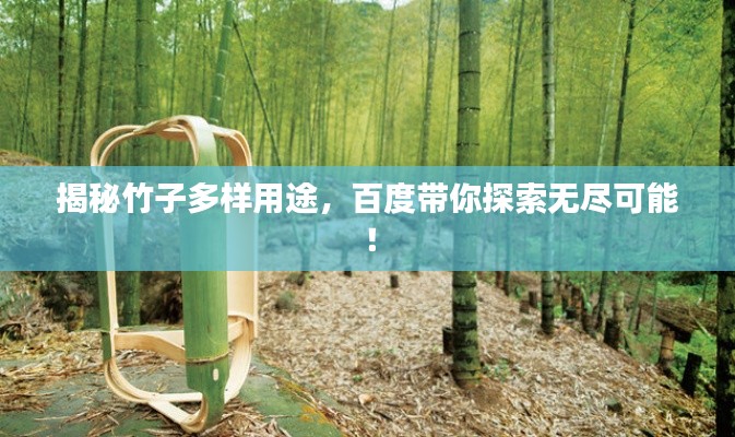 揭秘竹子多样用途，百度带你探索无尽可能！