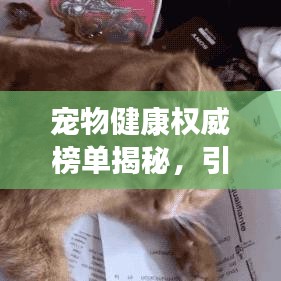 宠物健康权威榜单揭秘，引领宠物健康的十大专家排名！