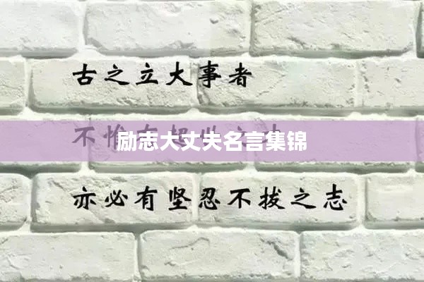 励志大丈夫名言集锦
